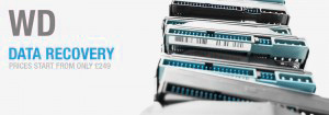 western-digital-recovery